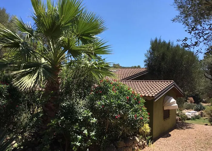 Con Piscina Tra Porto Vecchio E Bonifacio Villa *